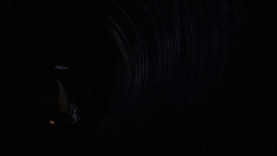 twd0808-3823.jpg