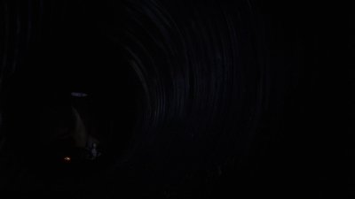 twd0808-3826.jpg