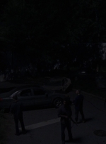 twd0808-1684.jpg