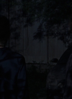 twd0808-1696.jpg