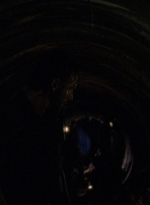 twd0808-3702.jpg