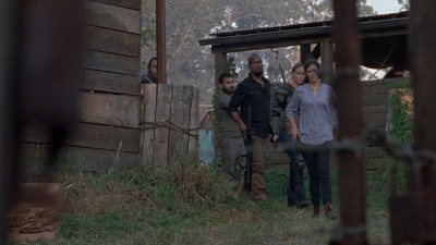 twd0811-2387.jpg