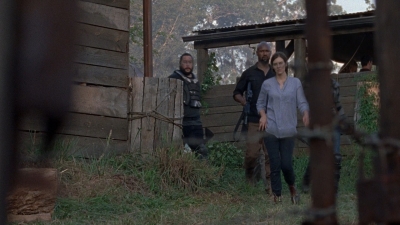 twd0811-2388.jpg