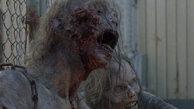 twd0811-2497.jpg