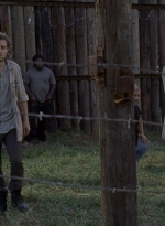 twd0811-2393.jpg
