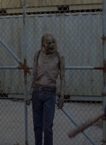 twd0811-2463.jpg