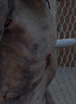 twd0811-2486.jpg
