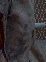 twd0811-2487.jpg
