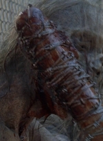 twd0811-2492.jpg