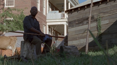 Click to view full size image
==============
twd0815-0151.jpg twd0815-0151.jpg