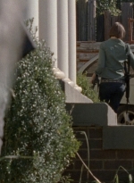 twd0815-0182.jpg