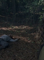 twd0815-0559.jpg