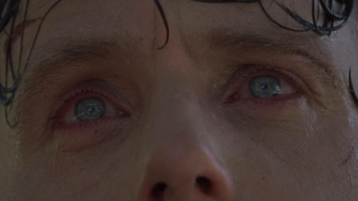 twd0816-2002.jpg