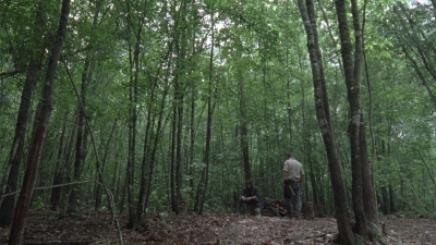 twd0903-1097.jpg