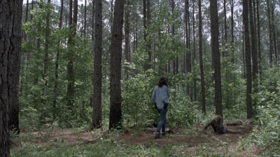 Click to view full size image
==============
twd0903-1705.jpg twd0903-1705.jpg
