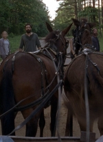 twd0903-0506.jpg