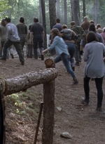 twd0903-0886.jpg