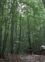 twd0903-1108.jpg