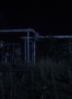 twd0903-2352.jpg