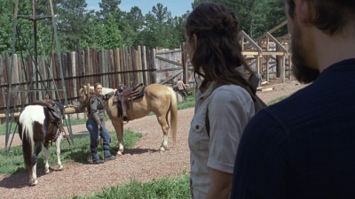 twd0904-0350.jpg