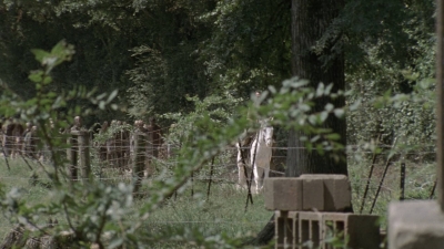 twd0904-2260.jpg
