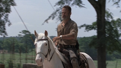 twd0904-2269.jpg