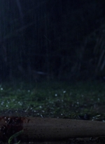 twd0904-0229.jpg