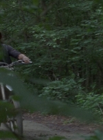 twd0904-0796.jpg
