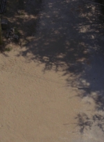 twd0904-2340.jpg