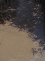 twd0904-2342.jpg