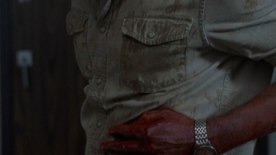 Click to view full size image
==============
twd905_0035.jpg twd905_0035.jpg