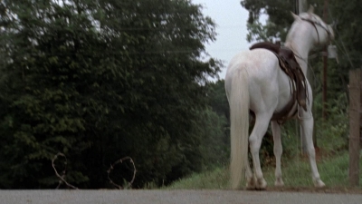 Click to view full size image
==============
twd905_0064.jpg twd905_0064.jpg