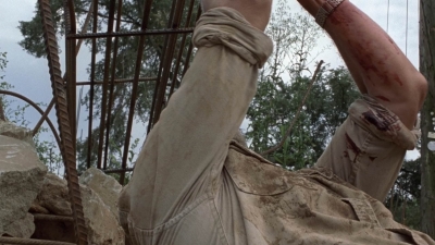 Click to view full size image
==============
twd905_0081.jpg twd905_0081.jpg