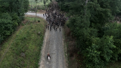 Click to view full size image
==============
twd905_0111.jpg twd905_0111.jpg
