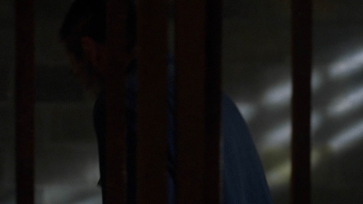 twd905_1109.jpg