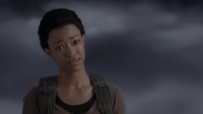 twd905_1487.jpg