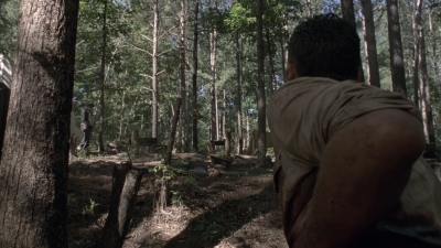 twd905_1614.jpg