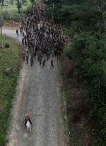 twd905_0111.jpg