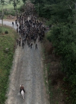 twd905_0112.jpg