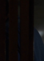twd905_1109.jpg