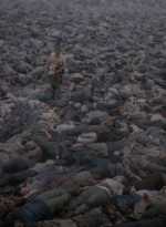 twd905_1414.jpg