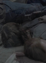 twd905_1422.jpg