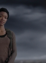 twd905_1470.jpg