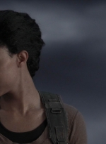 twd905_1488.jpg