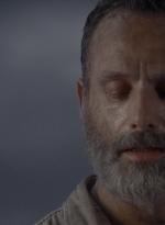 twd905_1518.jpg