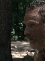 twd905_1609.jpg