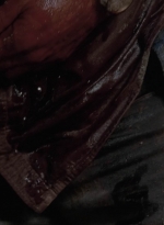 twd905_1611.jpg