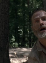 twd905_1613.jpg