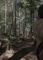 twd905_1614.jpg