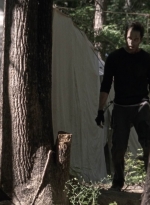 twd905_1616.jpg